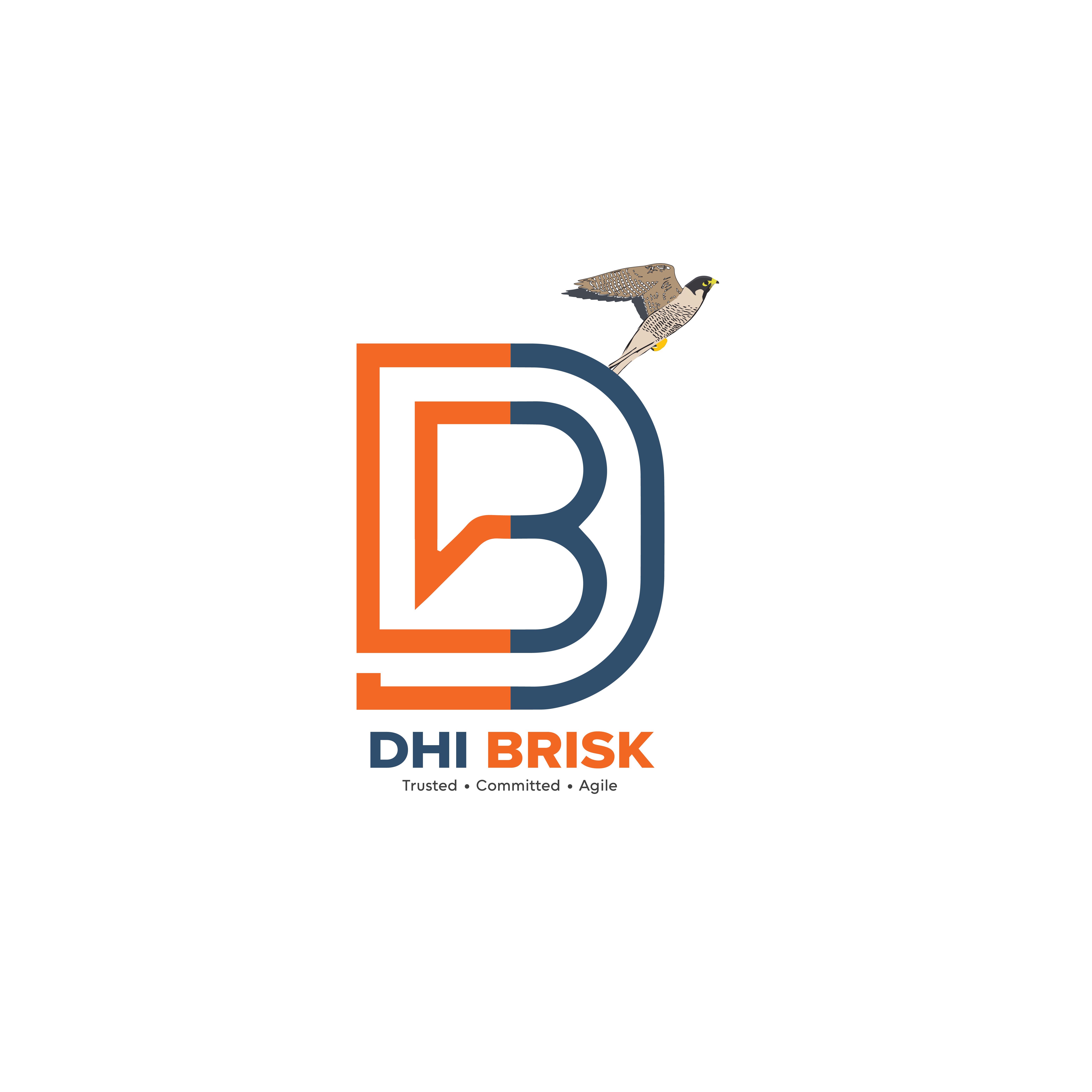 Dhi Brisk